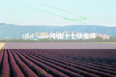 厦门中国十七块金牌