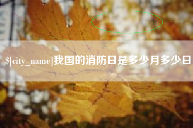 厦门我国的消防日是多少月多少日