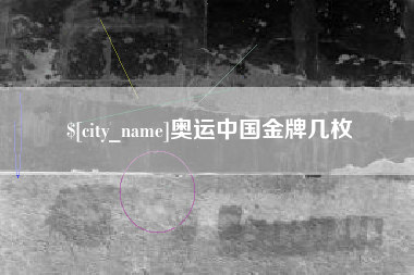 厦门奥运中国金牌几枚