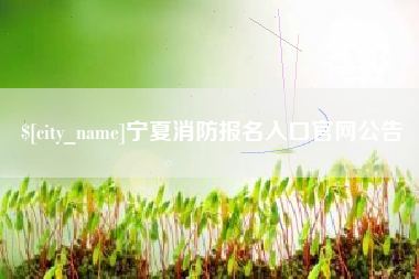 厦门宁夏消防报名入口官网公告