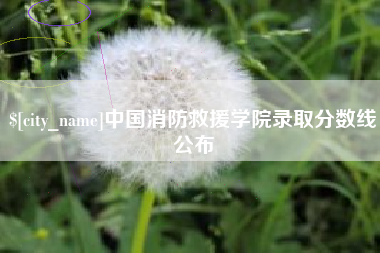 厦门中国消防救援学院录取分数线公布