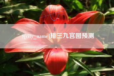 厦门排三九宫图预测