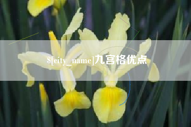 厦门九宫格优点