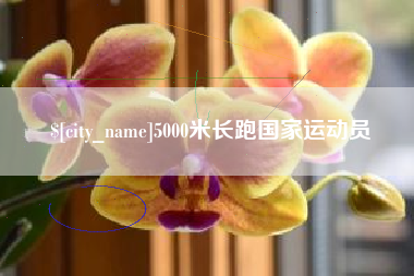 厦门5000米长跑国家运动员