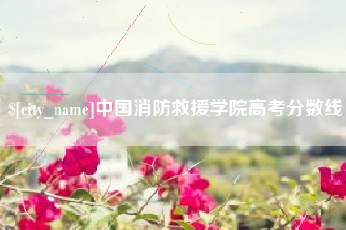 厦门中国消防救援学院高考分数线