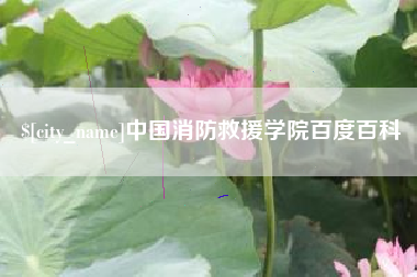厦门中国消防救援学院百度百科