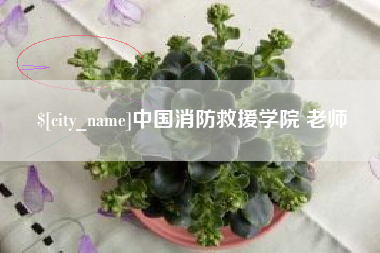 厦门中国消防救援学院 老师