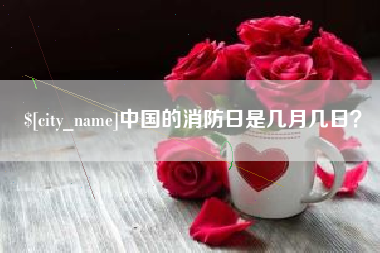 厦门中国的消防日是几月几日？