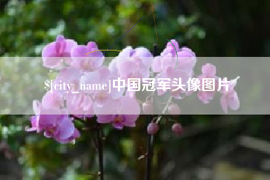 厦门中国冠军头像图片