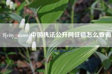 厦门中国执法公开网征信怎么查询