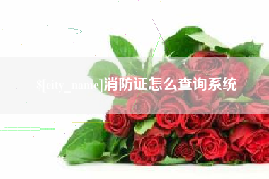 厦门消防证怎么查询系统