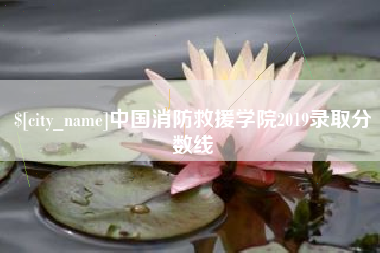 厦门中国消防救援学院2019录取分数线