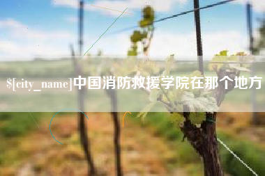 厦门中国消防救援学院在那个地方