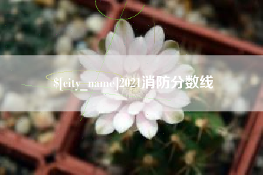 厦门2021消防分数线