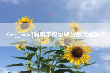 厦门消防学校录取分数线是多少