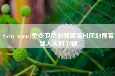 厦门免费卫星地图高清村庄地图看到人实时下载