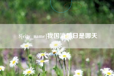 厦门我国消防日是哪天