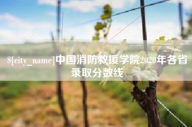 厦门中国消防救援学院2020年各省录取分数线