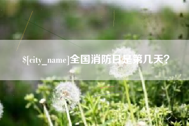 厦门全国消防日是第几天？
