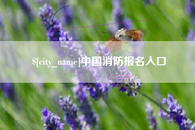 厦门中国消防报名入口