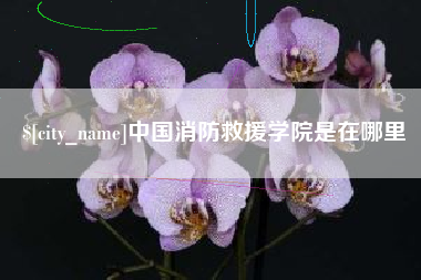 厦门中国消防救援学院是在哪里