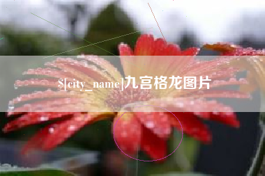 厦门九宫格龙图片