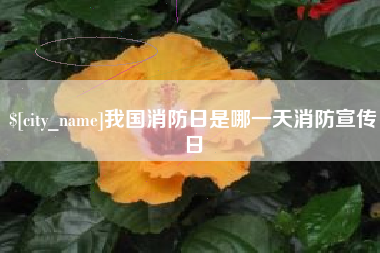 厦门我国消防日是哪一天消防宣传日