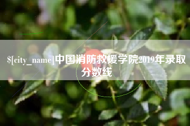 厦门中国消防救援学院2019年录取分数线