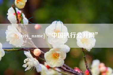 厦门“中国执行公开网”