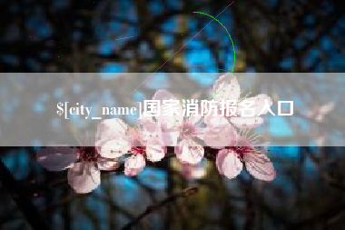 厦门国家消防报名入口