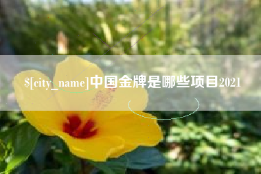 厦门中国金牌是哪些项目2021