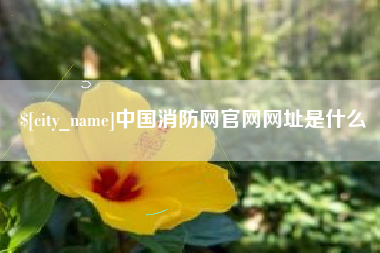 厦门中国消防网官网网址是什么