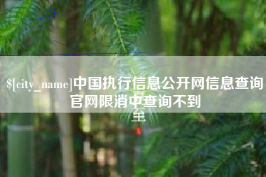 厦门中国执行信息公开网信息查询官网限消中查询不到
