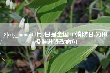 厦门11月9日是全国119消防日,为积极推进修改病句