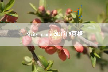 厦门2021年9宫格