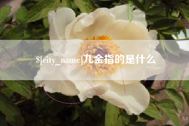 厦门九金指的是什么