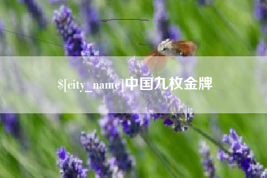 厦门中国九枚金牌