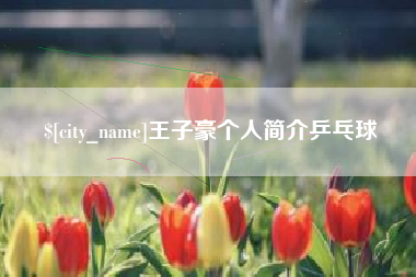 厦门王子豪个人简介乒乓球