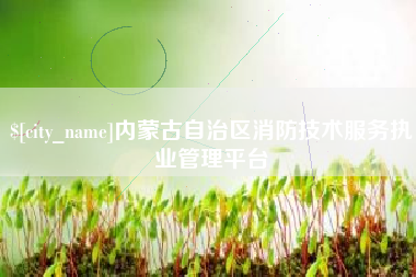 厦门内蒙古自治区消防技术服务执业管理平台