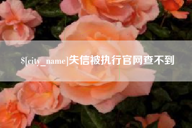厦门失信被执行官网查不到