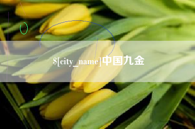 厦门中国九金
