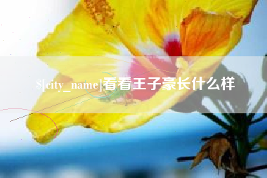 厦门看看王子豪长什么样