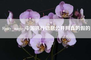 厦门中国执行信息公开网真的假的