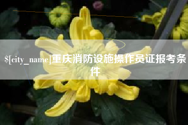 厦门重庆消防设施操作员证报考条件