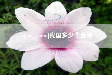 厦门我国多少个金牌