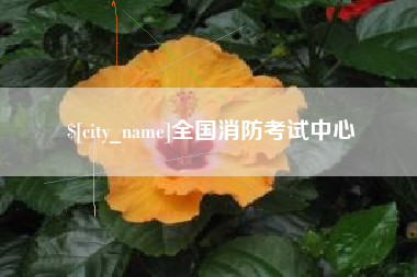 厦门全国消防考试中心
