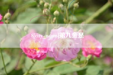厦门第九金是