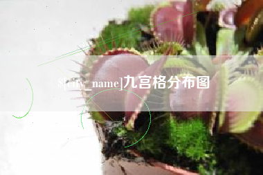 厦门九宫格分布图