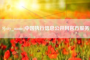 厦门中国执行信息公开网官方服务