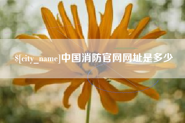 厦门中国消防官网网址是多少